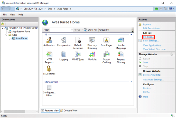 Binding in Windows IIS 10 - SSL.com